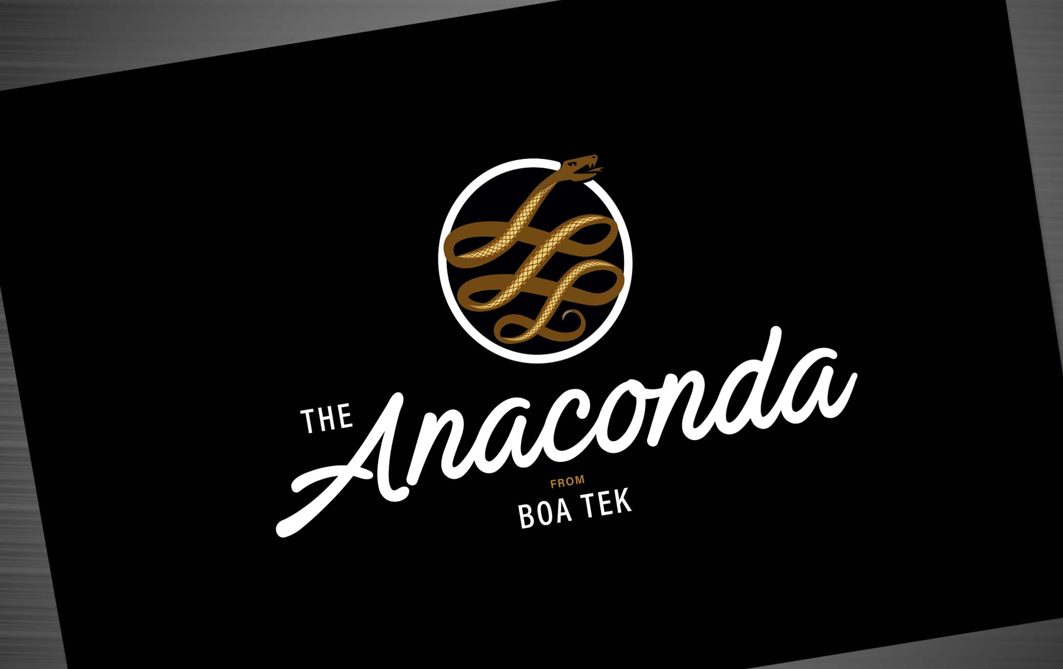 Anaconda Logo Brand Hero Image Corporate Identity Design
